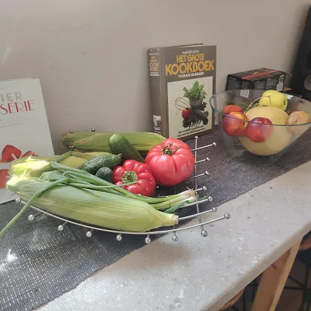 Hostel Family Or Friends Kluż-Napoka