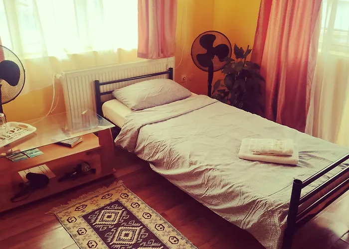 Family Or Friends Hostel Kluž