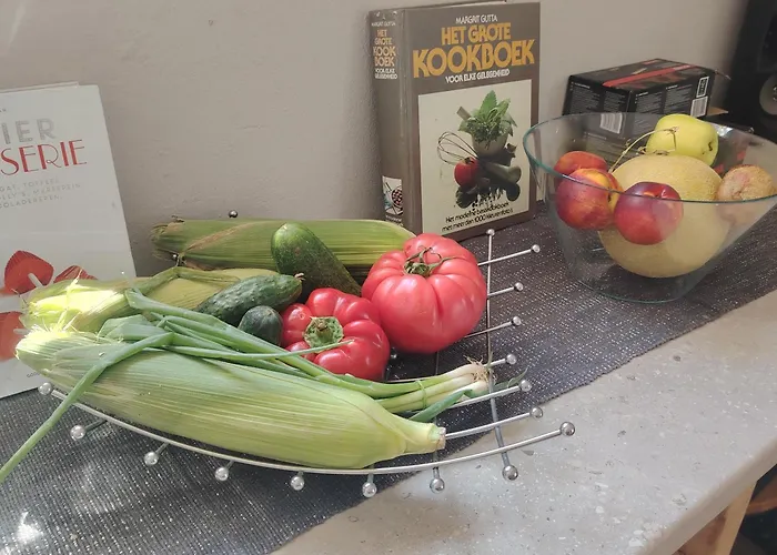 Hostel Family Or Friends Kluż-Napoka